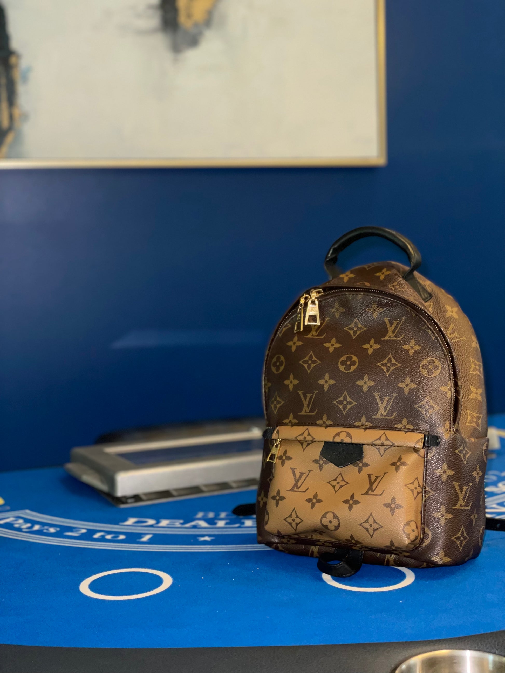 Louis Vuitton Palm Springs PM Backpack Shop with Stevi