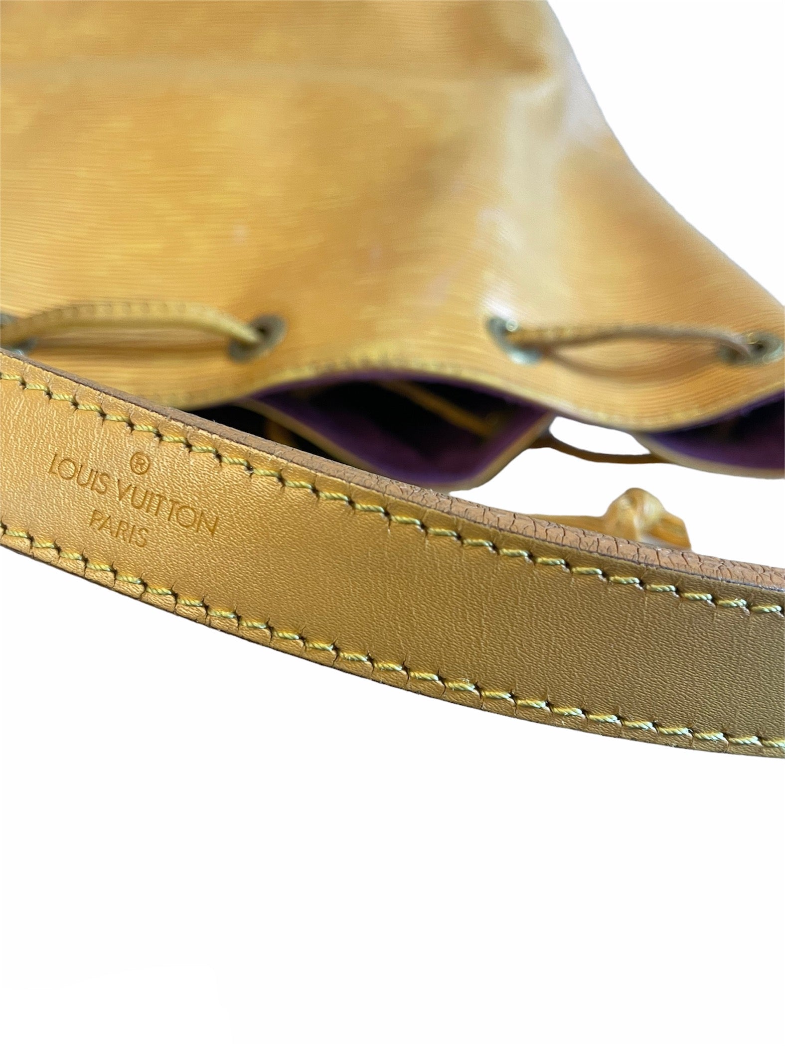 LOUIS VUITTON: Bucket Gm Noe Yellow Epi Leather Shoulder Bag