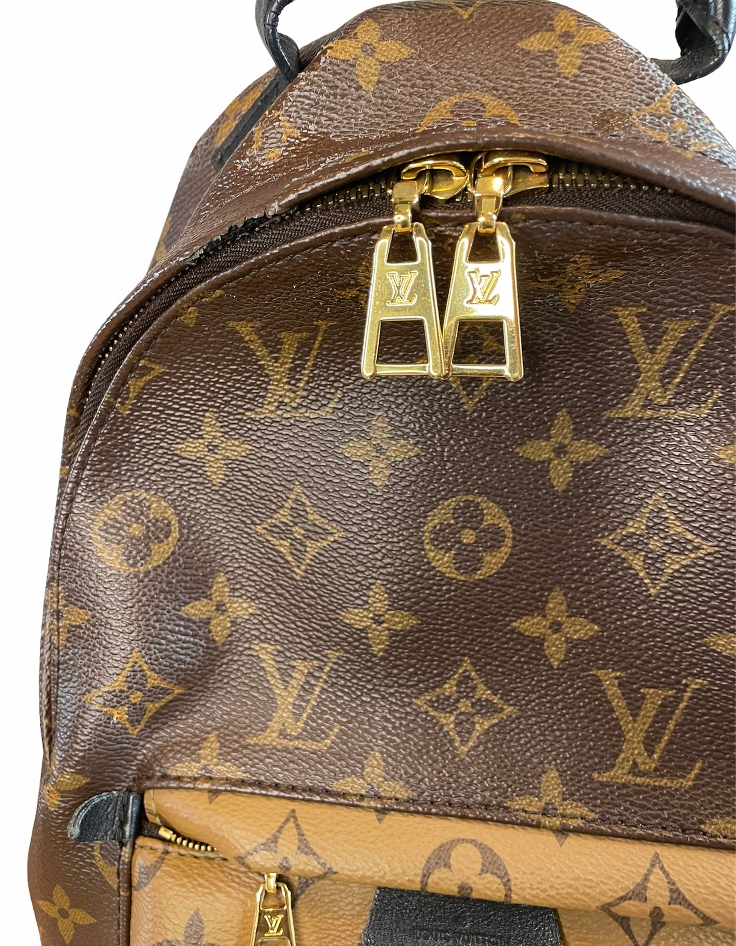 Louis Vuitton Palm Springs PM Backpack – Shop with Stevi