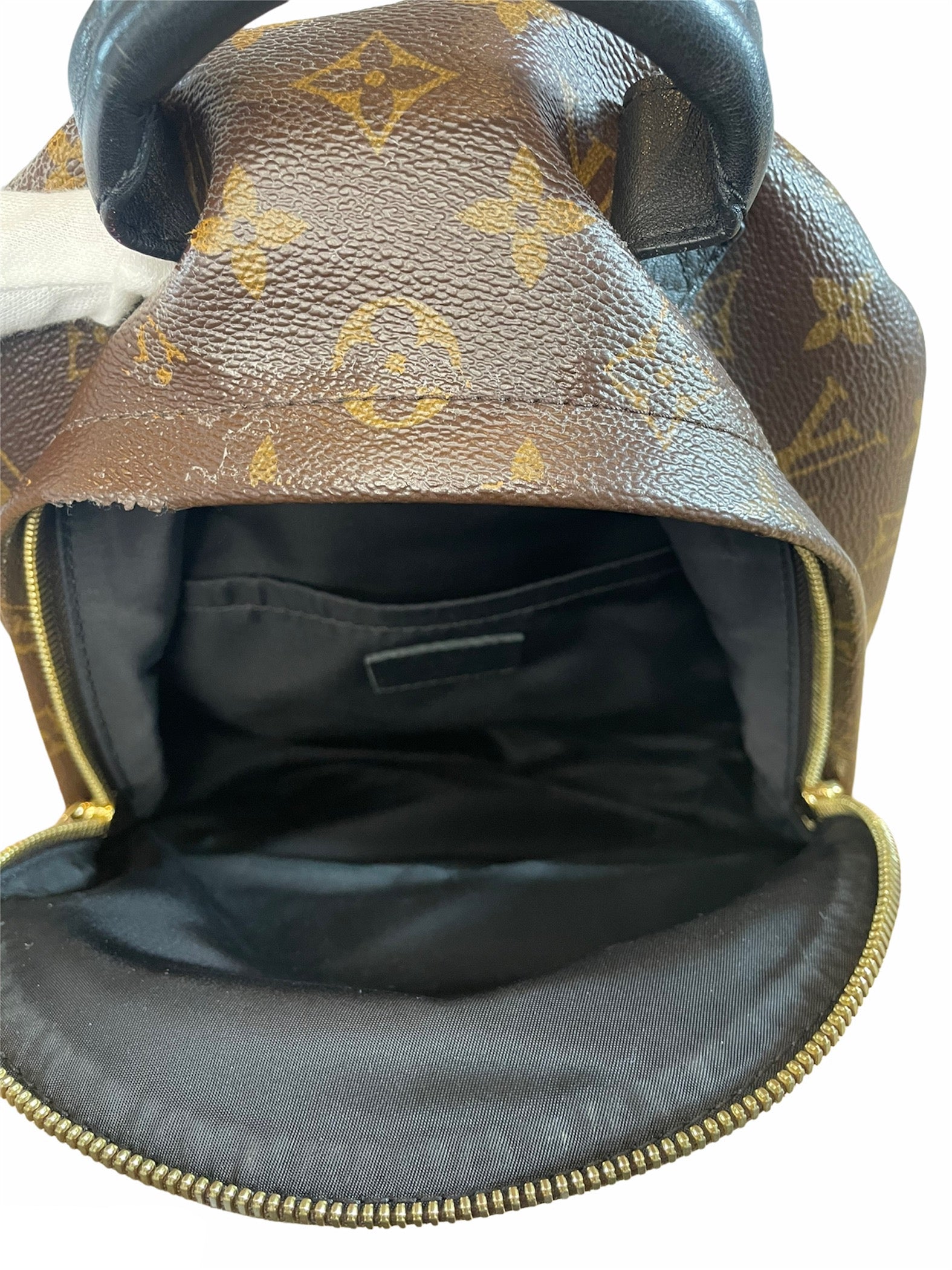 Louis Vuitton Palm Springs Backpack Comparison, Mini VS PM